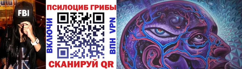 blacksprut как войти  где найти   Советский  Псилоцибиновые грибы мицелий 